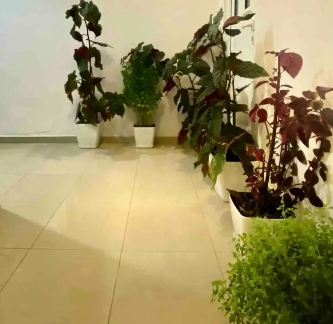 アパート Villa Tani 2 In The City Of Saranda Is Located On Panorama Street Below The Lekursi Castle